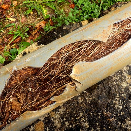 Same Day Drain Sewer & Rooter Pros Across Plymouth
